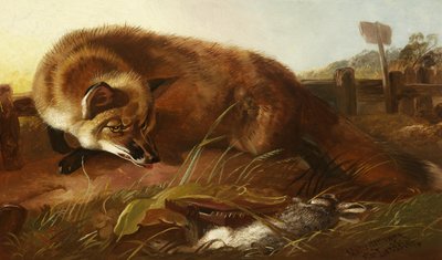 Fox by Walter Harrowing